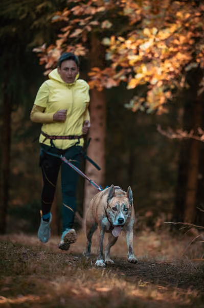 Leskros Hradečák 24.10.2026_CC – 24. října 2026