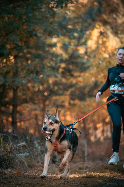 Leskros Hradečák 24.10.2026_CC – 24. října 2026