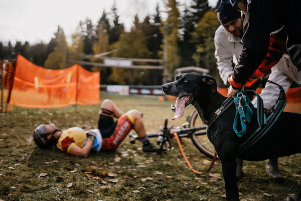 IFSS European Championships and European Masters Dryland 2026 – 15. října 2026