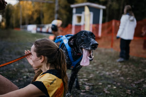 IFSS European Championships and European Masters Dryland 2026 – 15. října 2026