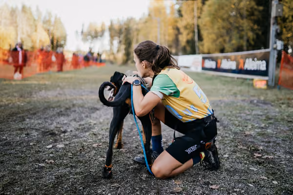 IFSS European Championships and European Masters Dryland 2026 – 15. října 2026