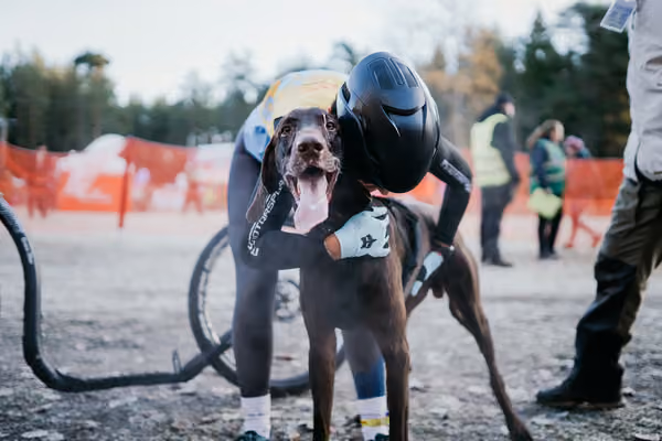 IFSS European Championships and European Masters Dryland 2026 – 15. října 2026